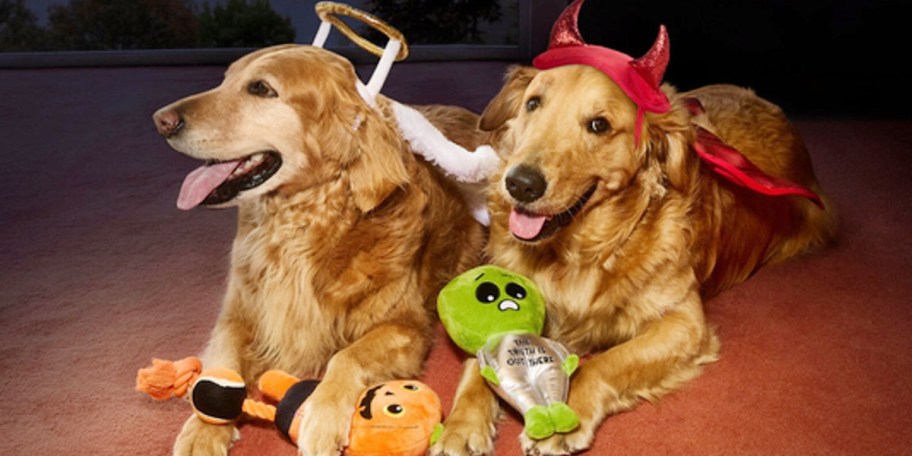 two golden retrievers in angel and devil costumes