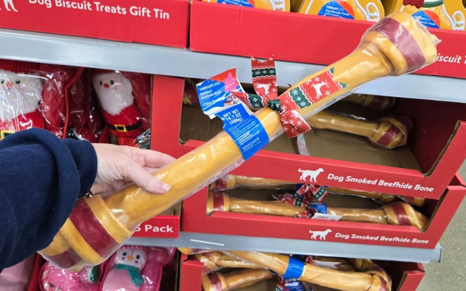 hand holding Vibrant Life Holiday Chew for Dogs -&nbsp; Giant Knotted Smoked Beefhide Bone