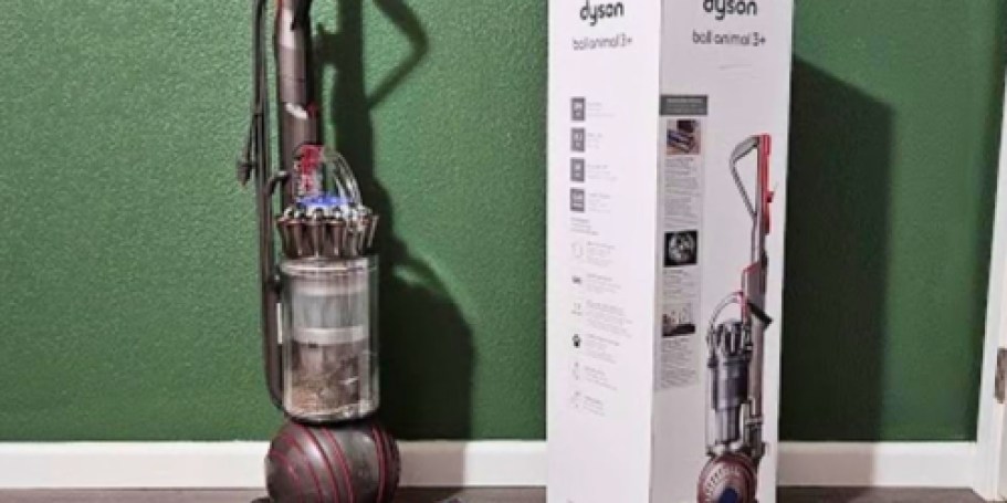 Dyson Ball Animal 3 Upright Vacuum Only $279.99 Shipped on Lowes.com (Reg. $400)!