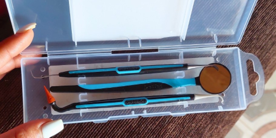 DenTek 3-Piece Oral Care Kit Just $4.79 Shipped on Amazon