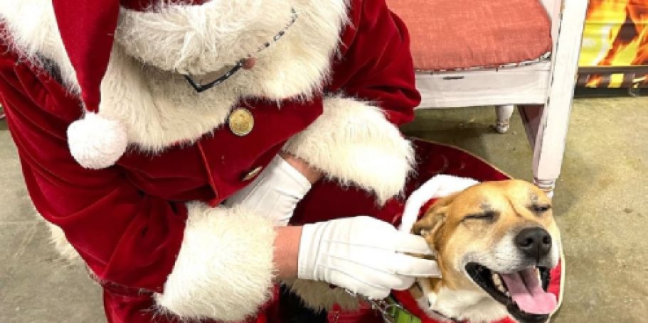 FREE Pet Photos w/ Santa at Petco Today (2-4 PM Only)
