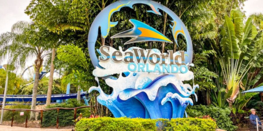 FREE 2026 SeaWorld Unlimited Admission Pass for Teachers