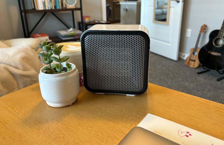 mini heater on desk with succulent plant