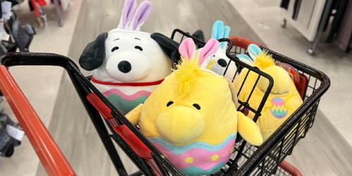 NEW Squishmallows Spotted at TJ Maxx – Just $9.99!