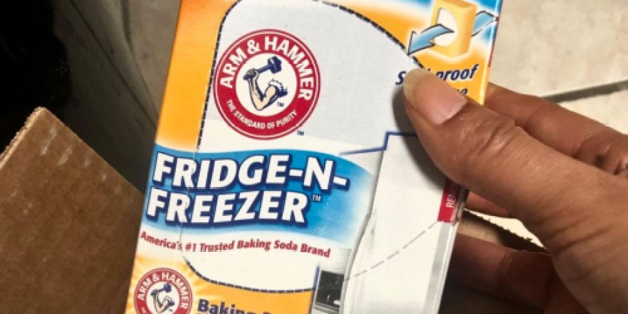 Arm & Hammer Fridge Baking Soda Just 80¢ each Shipped on Amazon