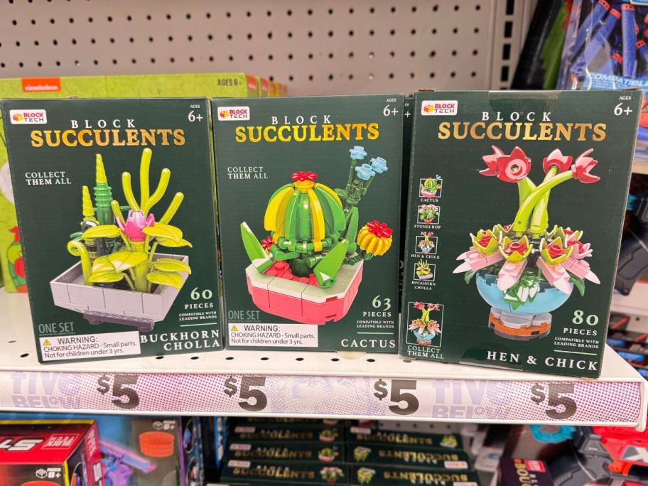 Block Tech&reg; Succulents Block Set on shelf