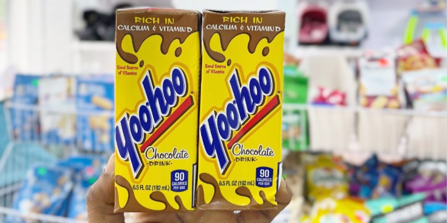 Yoo-hoo Chocolate Drink Boxes 32-Count Only $9 Shipped on Amazon (Just 29¢ Per Drink!)