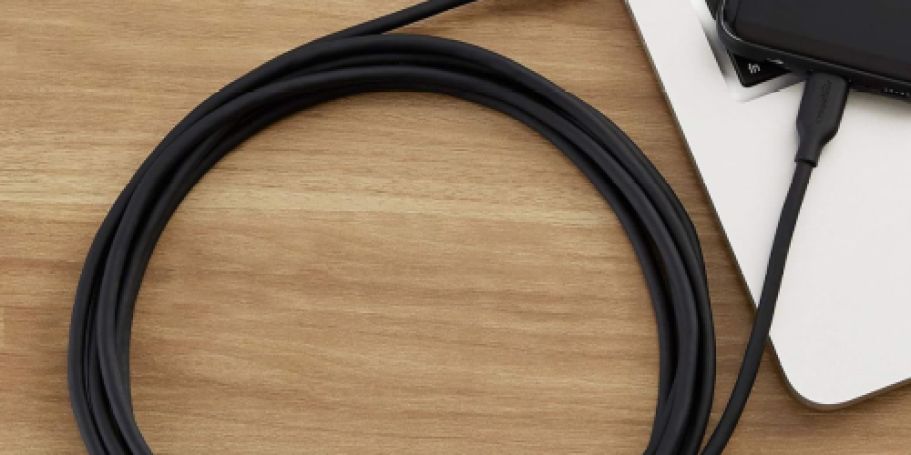 Amazon Basics Fast Charging Cable from 49¢ Shipped on Woot.com (Reg. $10)