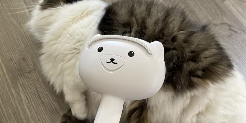 Cool Mist Steam Pet Brush Just $7.94 Shipped for Amazon Prime Members (Reg. $25)
