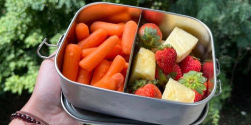 6 Best Lunch Bags & Boxes for Kids (Washable, Toxic Free, & More!)