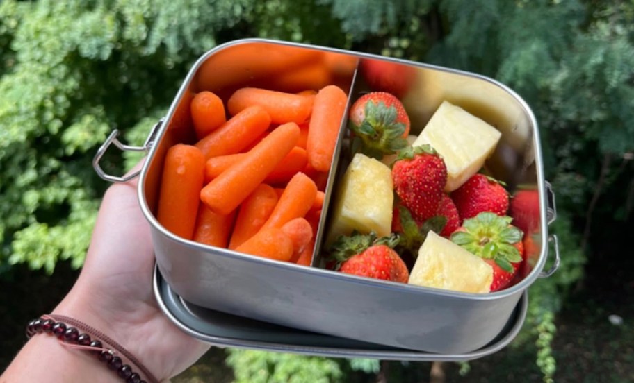 hand holding Bambaw Stainless Steel Lunch Box with fruit and veggies