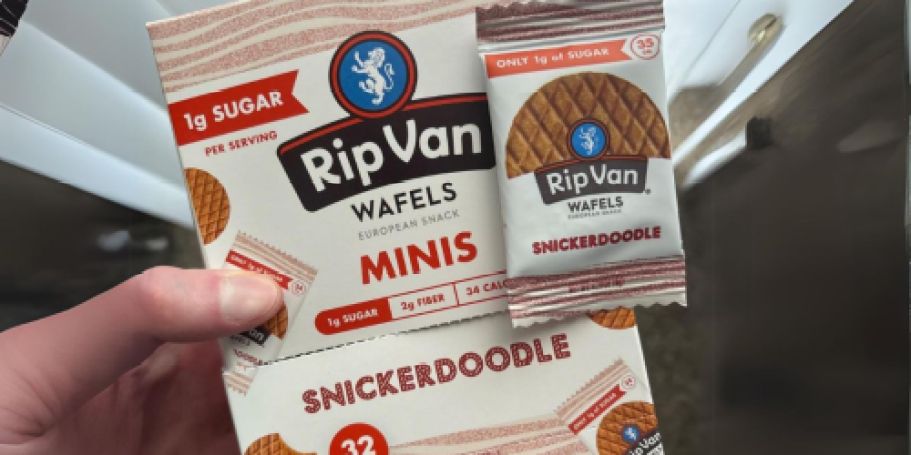 Rip Van Wafels Stroopwafel Minis 32-Count Just $7.97 Shipped on Amazon (Reg. $20)
