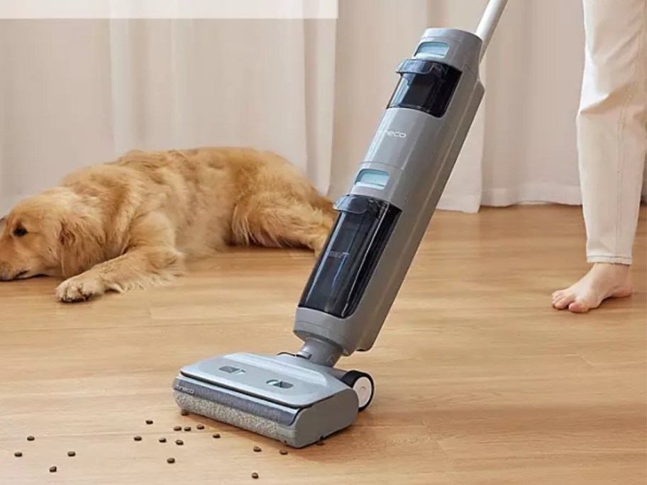 a grey vacuum cleaning up spilled dog food, golden retriever dog lays in the background