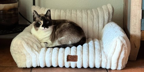 Bedsure Cat Couch Just $29.99 on Amazon