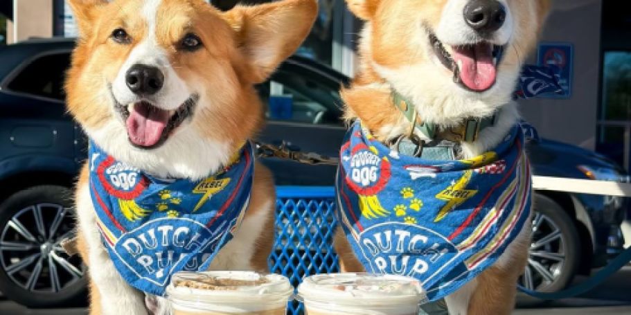 Dutch Bros Freebie! Get a Dog Bandana w/ Drink Purchase