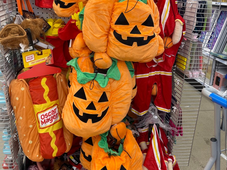 pumpkin, and hot dog pet costumes 