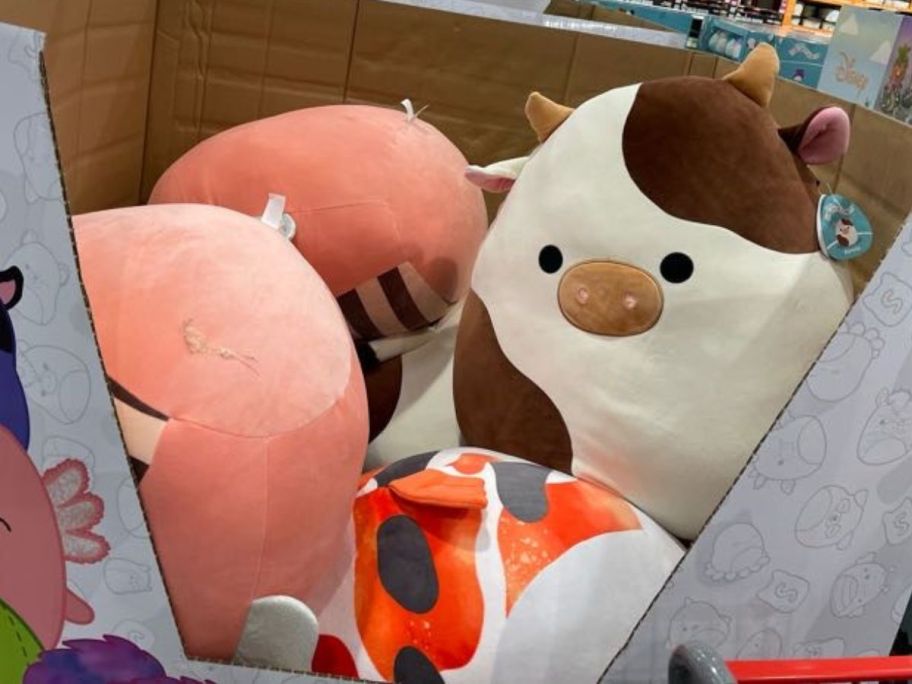 squishmallows in box in store