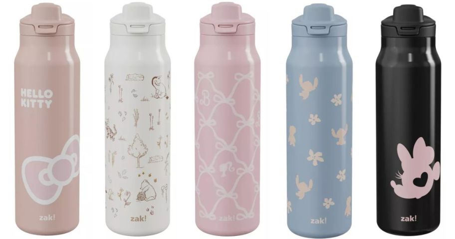 five Zak Designs 24oz Stainless Steel Vacuum Insulated Chug Bottles