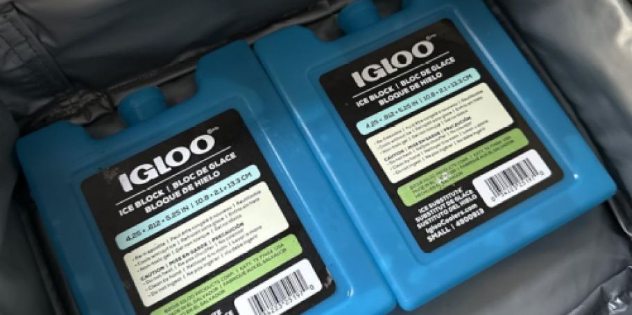 Igloo Reusable Ice Block Just 98¢ on Amazon (Keeps Your Lunch Cold All Day!)