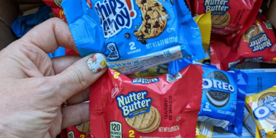 Nabsico 20-Count Variety Packs Just $6.41 Shipped on Amazon