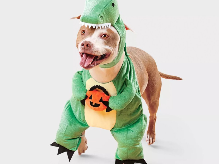 dog wearing dino costume 