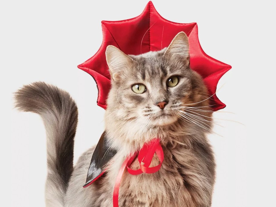 woman wearing red vampire cat 