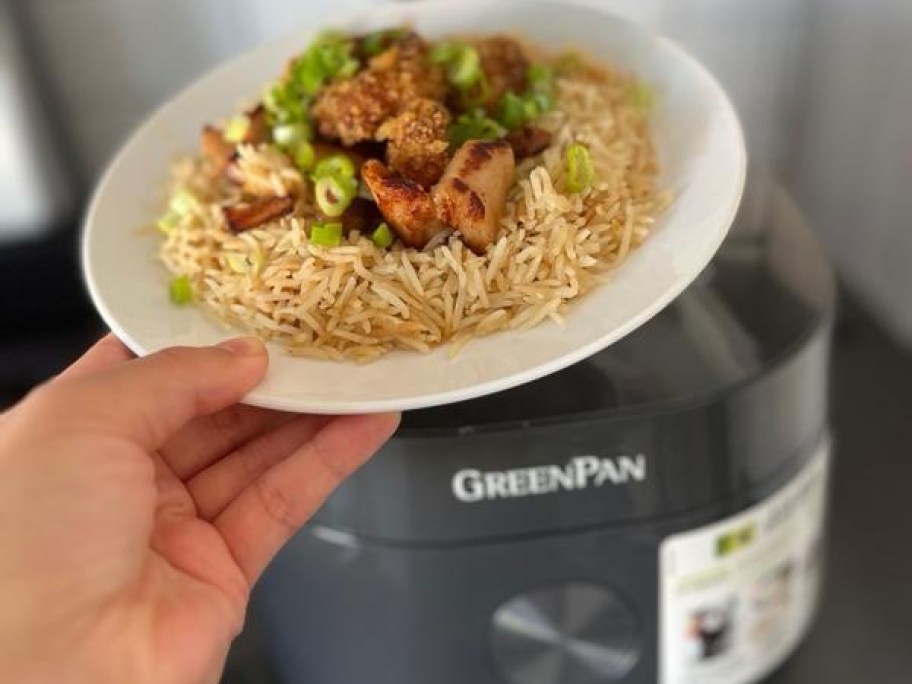 hand holding a plate of food over a green pan rice cooker