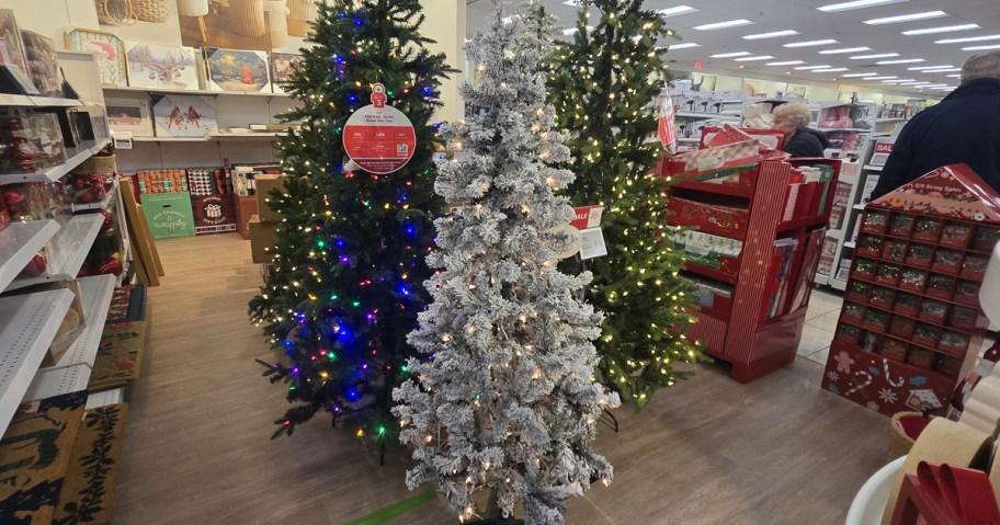 Kohls Christmas Trees on sale
