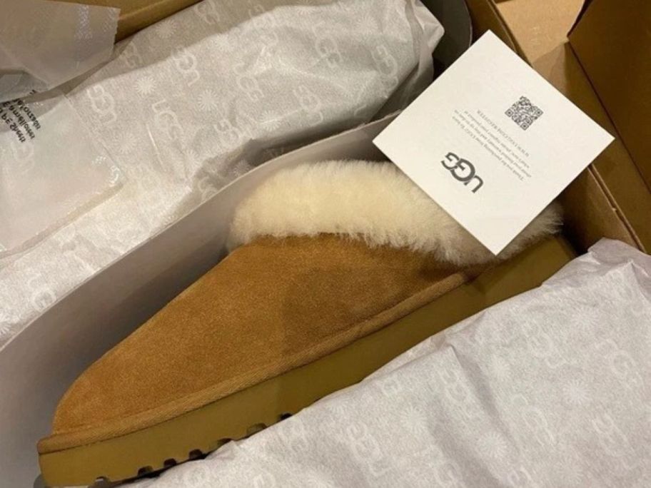 a tan UGG Clugette in a box