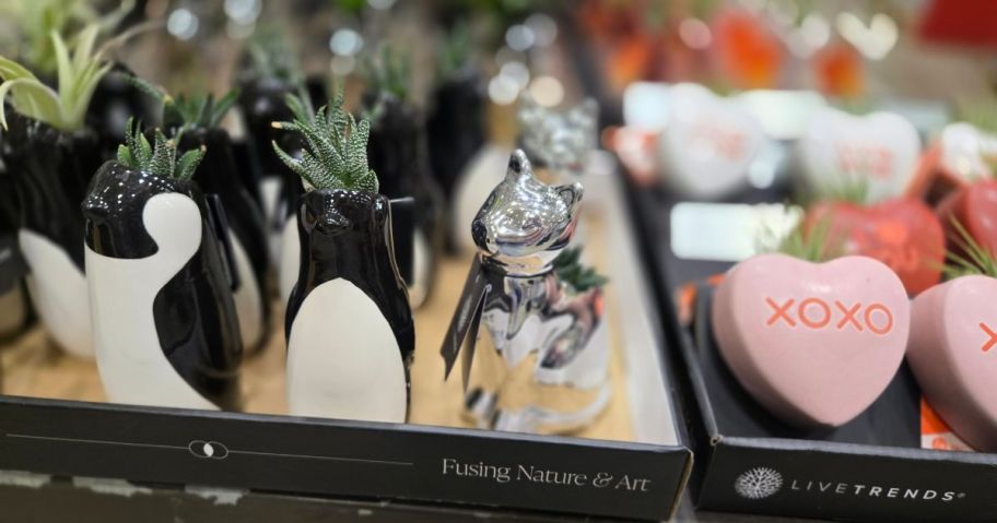 A box full of penguin and squirrel planters