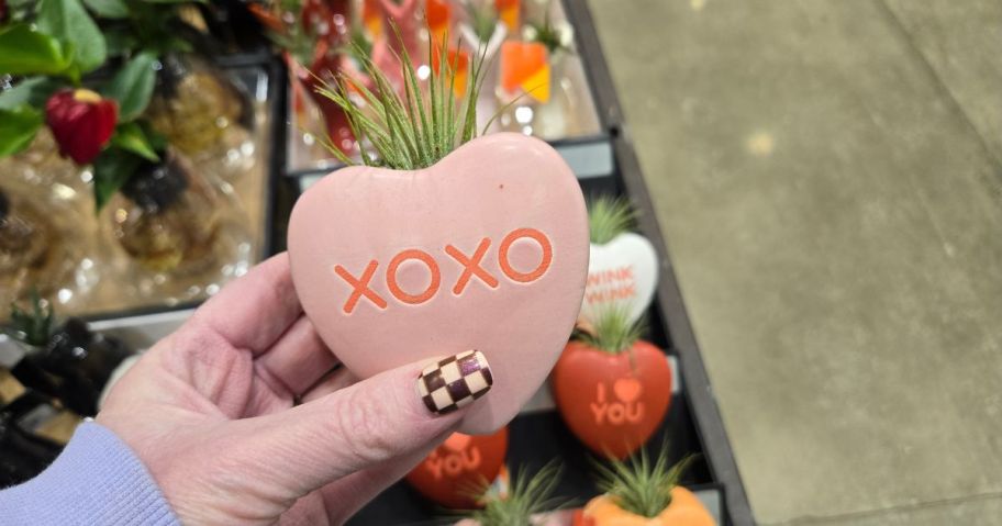 A person holding a pink heart planter with XOXO written on it