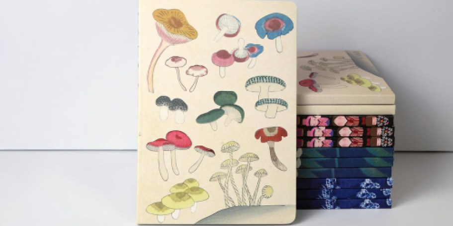 Paperback Notebooks & Journals from $1.99 on Amazon