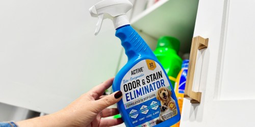 Active Pet Odor & Stain Eliminator Only $10.56 Shipped on Amazon (Reg. $20)