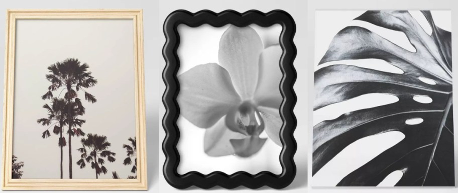 Three framed black and white images: left shows tall palm trees, center displays a close-up orchid with a wavy frame, right features a large monstera leaf.