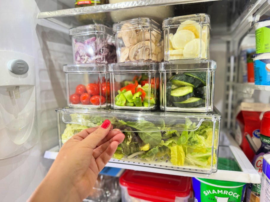 salad bar at home in the fridge