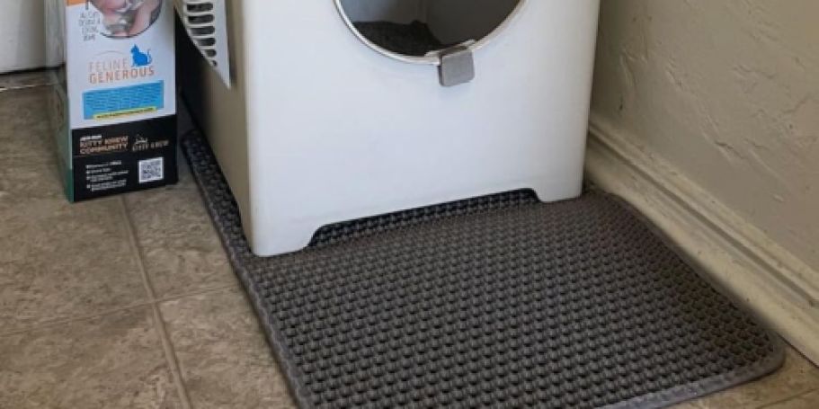 Double-Layer Cat Litter Mat Just $7.97 on Amazon  – Traps Loose Litter