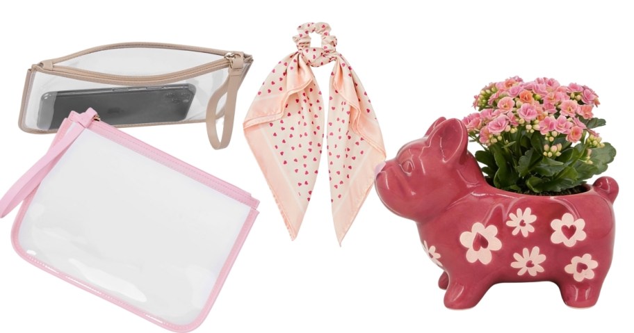 pink and tan clear pouches heart scraf hair tie and pug planter stock photos