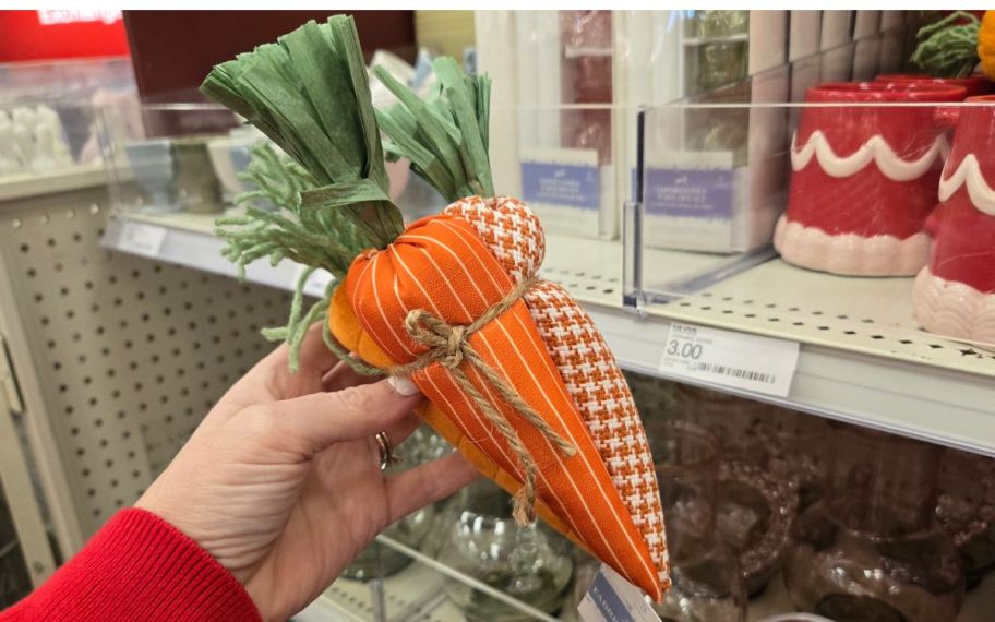 hand holding carrots toy