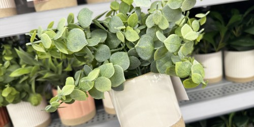 8 Best Fake Plants That Look Shockingly Real – Hip Team Tested!