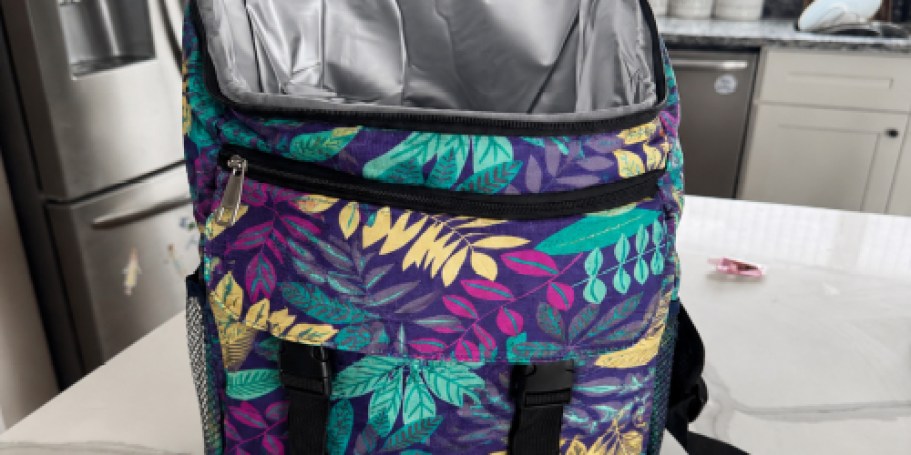 Cooler Backpack Only $15.89 on Amazon (Reg. $30) | Holds 30 Cans