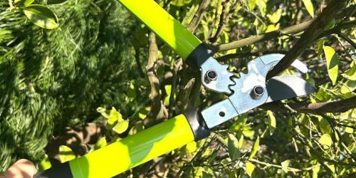 Pruning Shears & Lopper 2-Piece Set Only $11.99 on Amazon