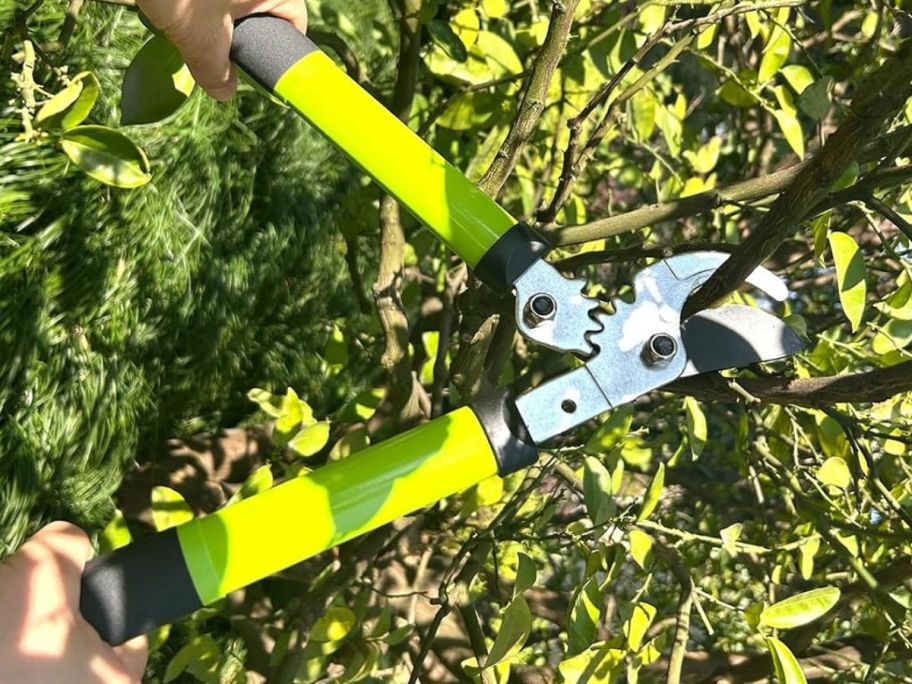 Hands using a lopper to cut a tree branch