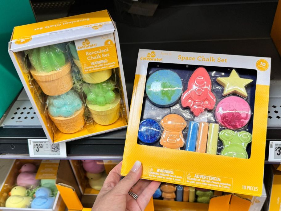 Way to Celebrate Succulent and Space Chalk Sets