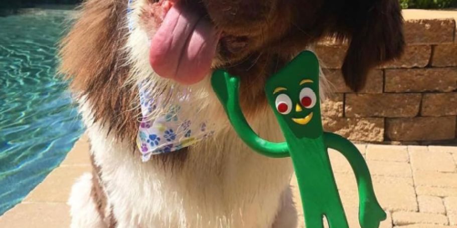 Gumby Dog Toy Just $2.99 Shipped for Prime Members | Over 43K 5-Star Ratings