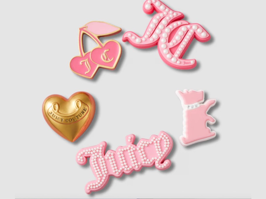 five pink shoes charms- cherries, gold heart, juicy word, and dog