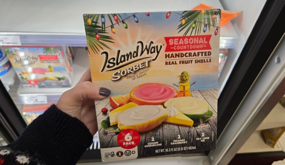 a womans hand holding a box of island way sorbets