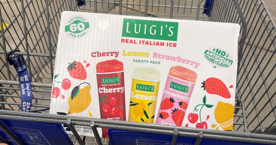 Luigi's Squeeze Up Italian Ice Variety Pack 3oz 24-Count box in cart in store