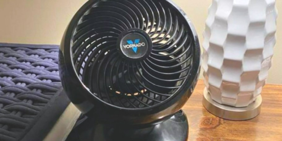 Vornado Tabletop Whole Room Fan Only $24.99 Shipped (Regularly $60)