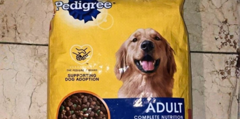 Pedigree Adult Dry Dog Food Bag Only $3.99 Shipped on Amazon (Reg. $7)