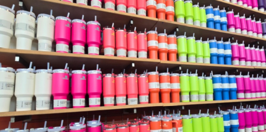 Up to 50% Off Stanley 1913 Tumblers on Dick’sSportingGoods.com